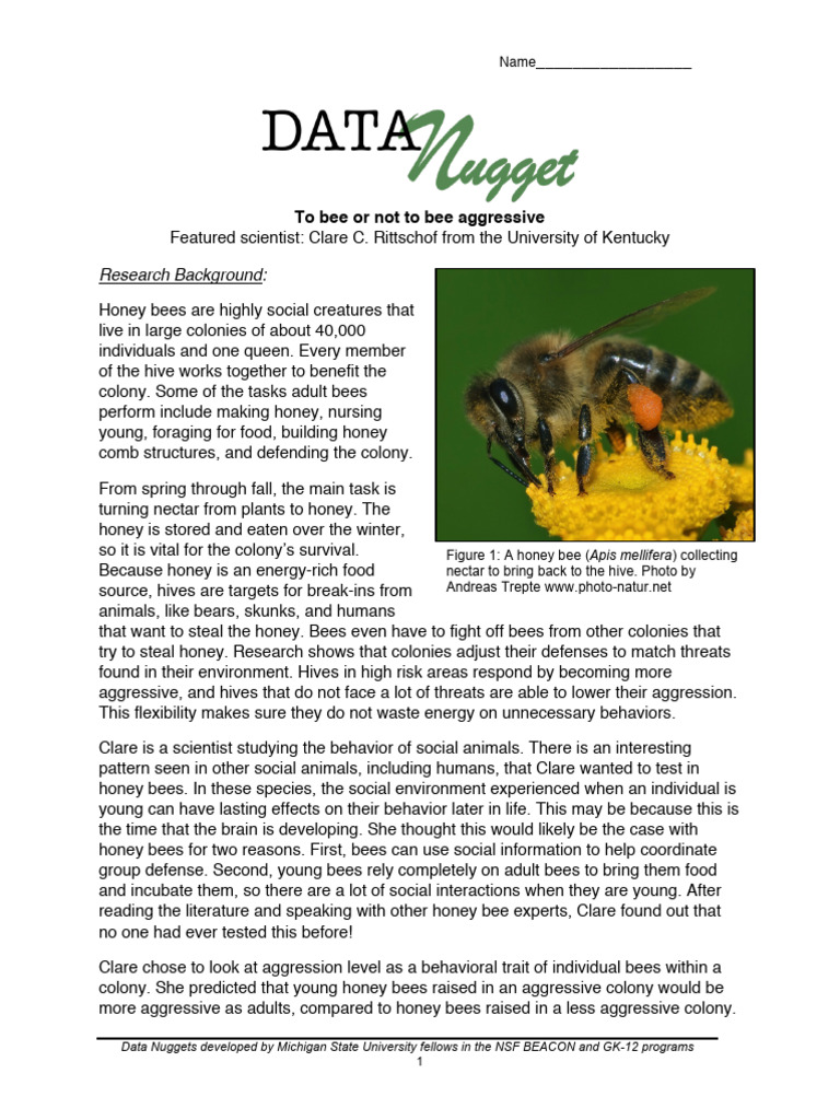 Bee Aggression Study by Clare Rittschof | PDF | Honey Bee | Honey