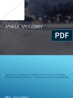 Ankle Anatomy Movement