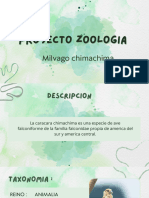 Proyecto Zoologia