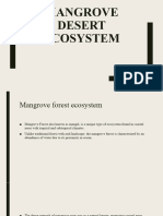 Mangrove Desert Ecosystem