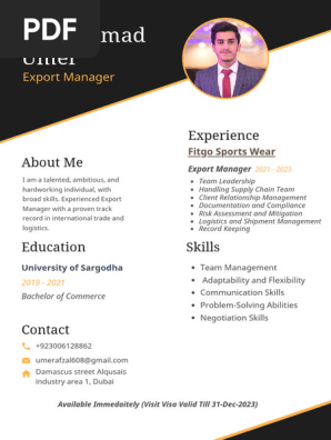 Edit able Cv 
