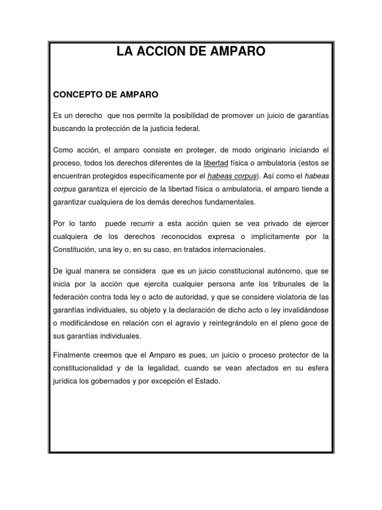 Concepto y Acción de Amparo | PDF | Derecho Constitucional | Ley Pública