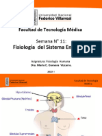 Clase 11 Fisiologia Endocrina Parte I Unfv