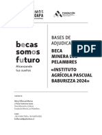 Bases Beca-Iapb 2023