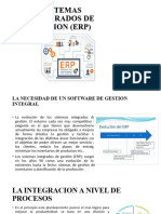 Sistemas Integrados de Gestion (Erp)