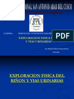 04 Exploración Física Del Riñón y Vías Urinarias