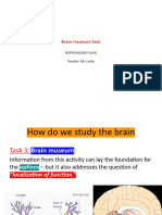 4f Brain Museum Task Stu