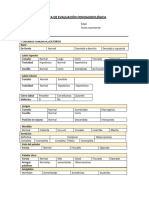 Pauta de Evaluación OFA