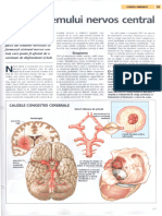 099 - Bolile Sistemului Nervos Central