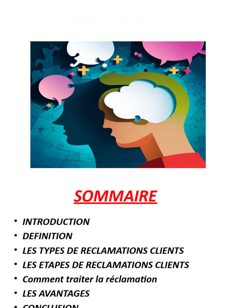 Gestion efficace des réclamations clients | PDF | Business