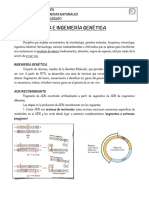 Biotecnologiěa e Ingenieriěa Geneětica