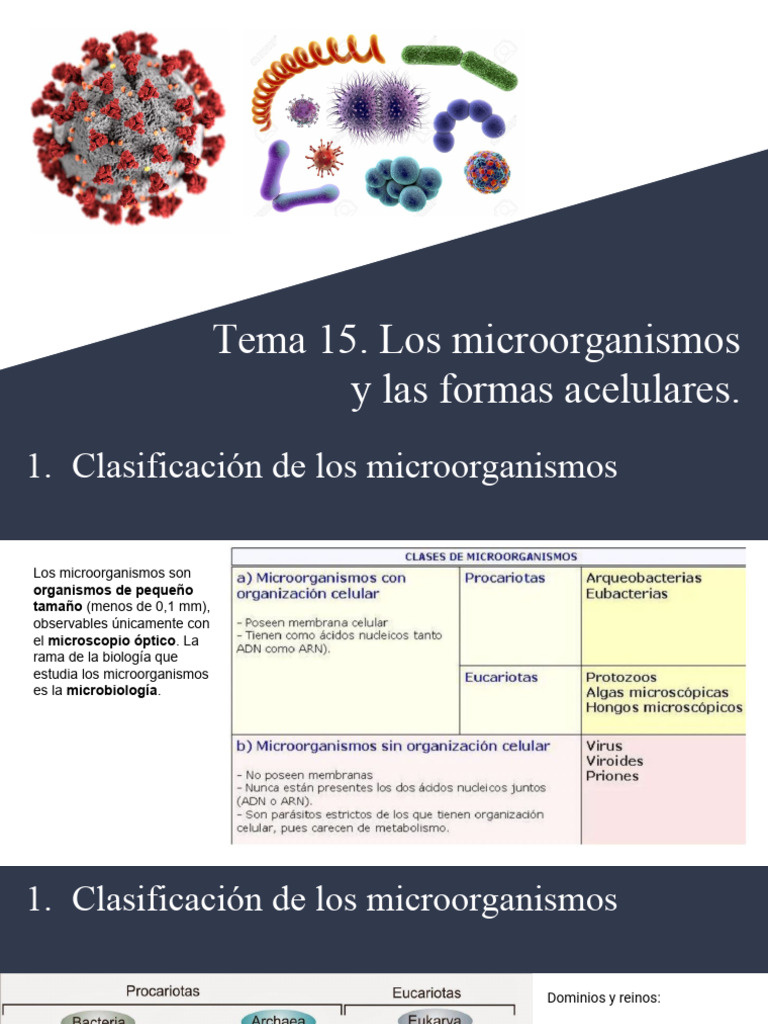 Microorganismos y Formas Acelulares | PDF | Las bacterias | Virus