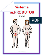 BIOLOGIA - Aparelhos Reprodutores Parte 1