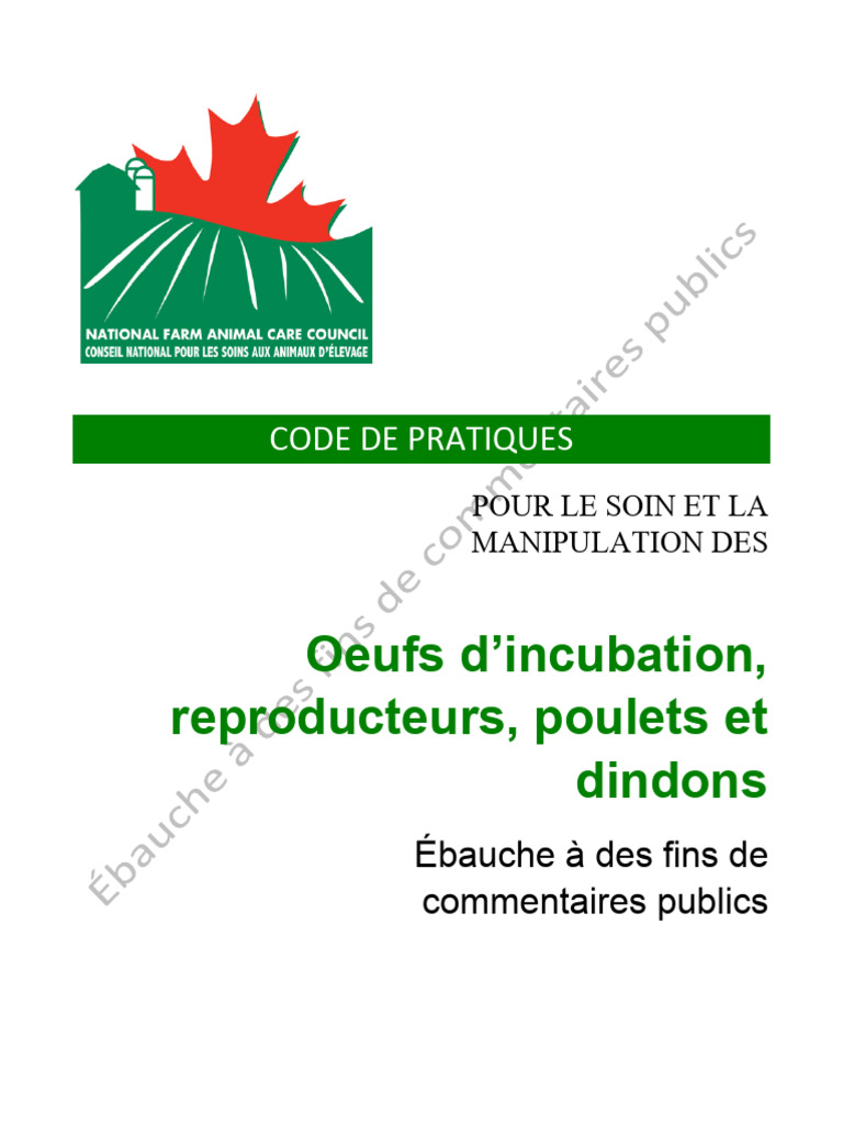 DRAFT Poultry Code-Fr | PDF | Poulet | Oiseaux