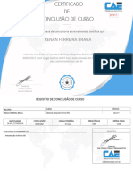 Renan Ferreira Braga: A CAE, Empresa de Consultoria e Treinamentos Certifica Que