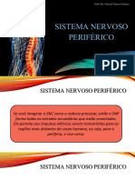 Sistema Nervoso Periferico - 230923 - 090302 - 230923 - 103354