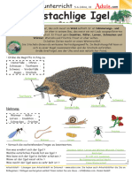 Loesung Der Stachlige Igel 100593 - SA - L - D