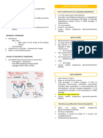 Nephritic Syndrome