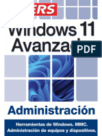 Windows 11 Avanzado