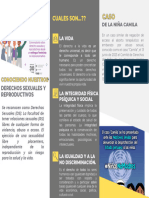 Triptico DPCC