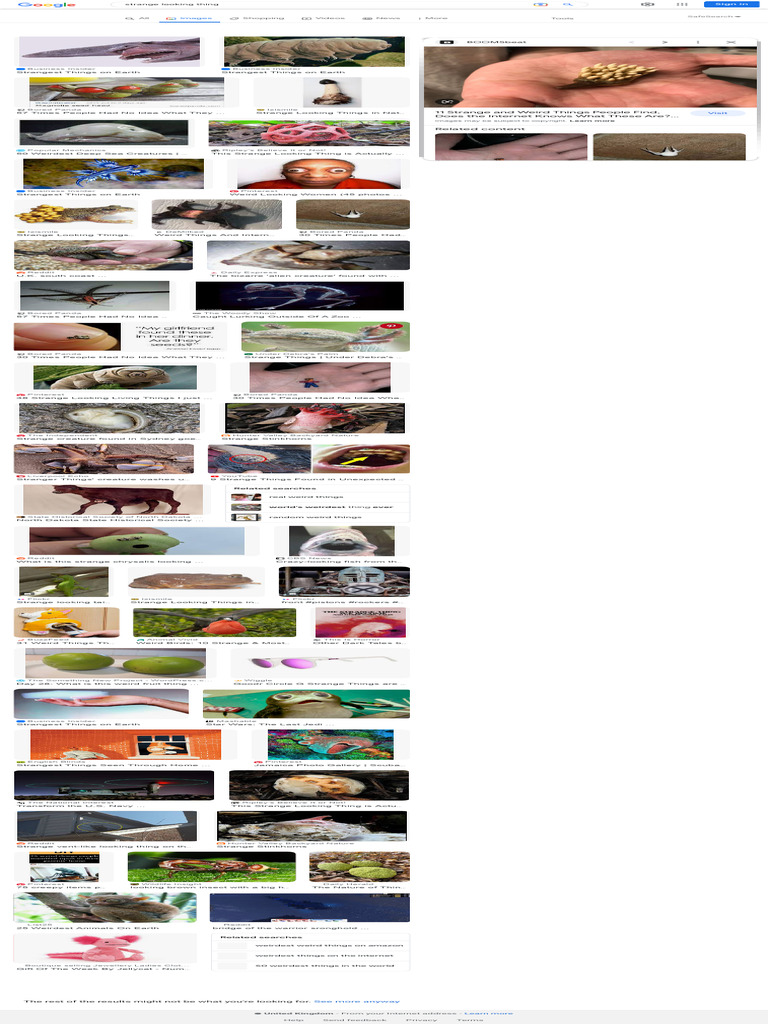 Strange Looking Thing - Google Search | PDF