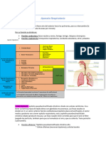 Aparato Respiratorio