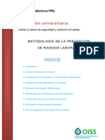 Metodologia de La Prevencion de Riesgo Laborales