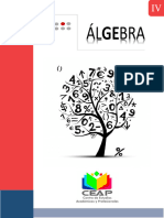 Algebra Ceap