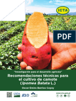 Manual Producción Del Cultivo Camote, Junio 2022