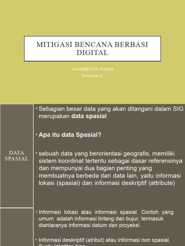 Kesamaan Data Citra Satelit dan Raster | PDF