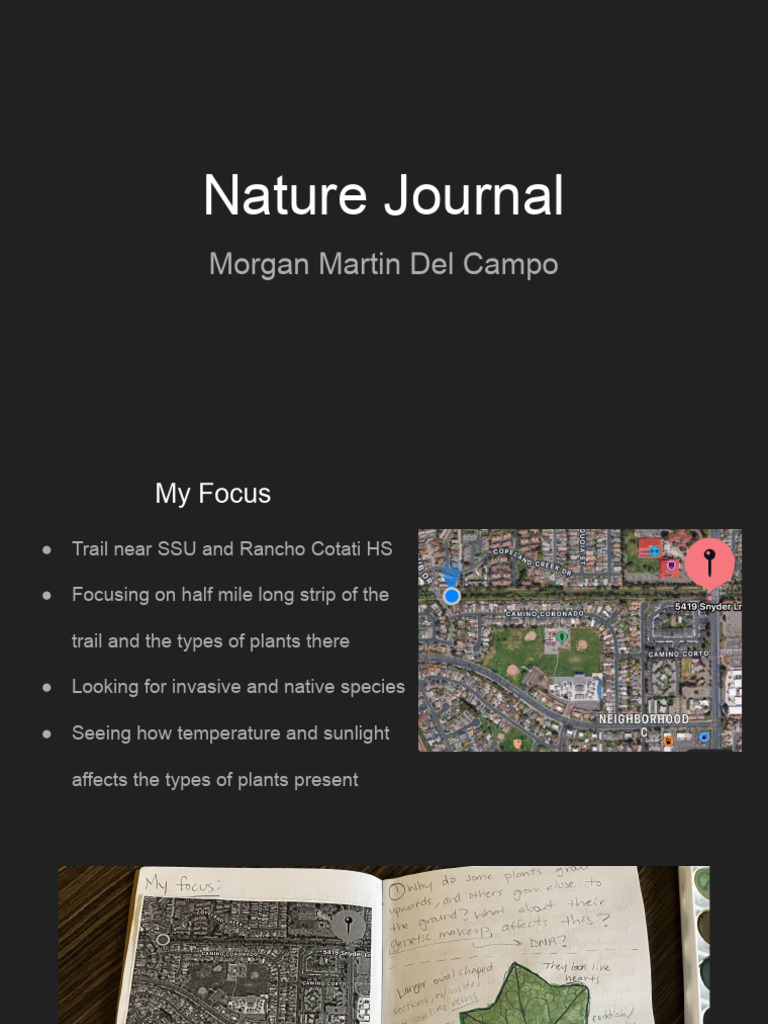 Nature Journal | PDF