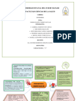 Farmacologia Cardiovascular Mapa