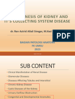 Kuliah Kidney Disease 2023