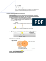 CONSTITUCIÓN DEL SUJETO. Psicoanalisis