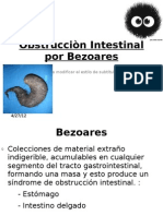 Obstrucciòn Intestinal Por Bezoares