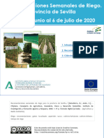 2020 - 06 - 29 Recomendaciones Provincia de Sevilla