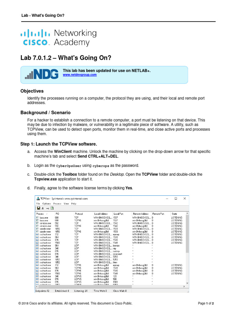 TCPView Lab: Monitoring Ports and Processes | PDF | World Wide Web ...