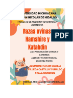 Resumen Razas Katahdin y Hampshier Ubaldo y Hatzin