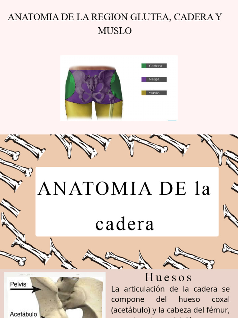 Presentacion Salud Del Cuerpo Humano Ilustracion Rosa | PDF ...