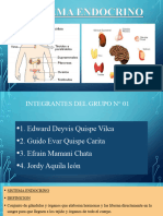 Sistema Endocrino N°01