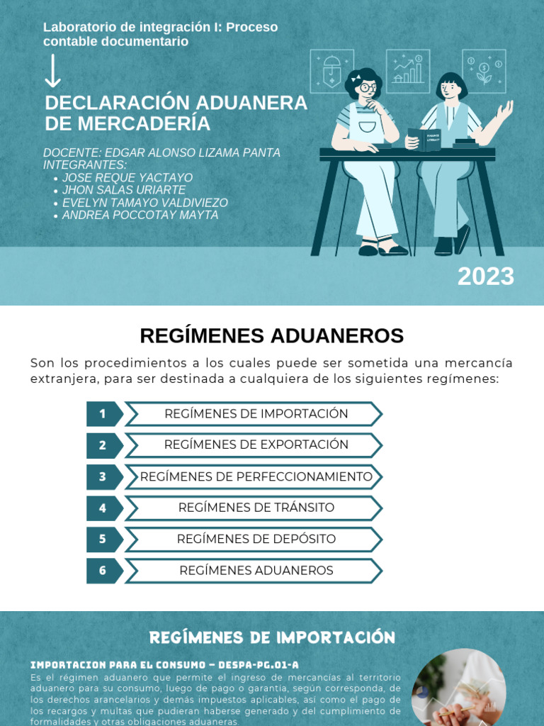 Guía sobre Regímenes Aduaneros 2023 | PDF | aduana | Arancel