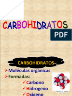 CARBOHIDRATOS