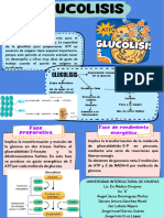 La Glucólisis y Gluconeogenesis INFOGRAFIA