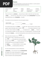 Photosynthesis Gap Fill Worksheet