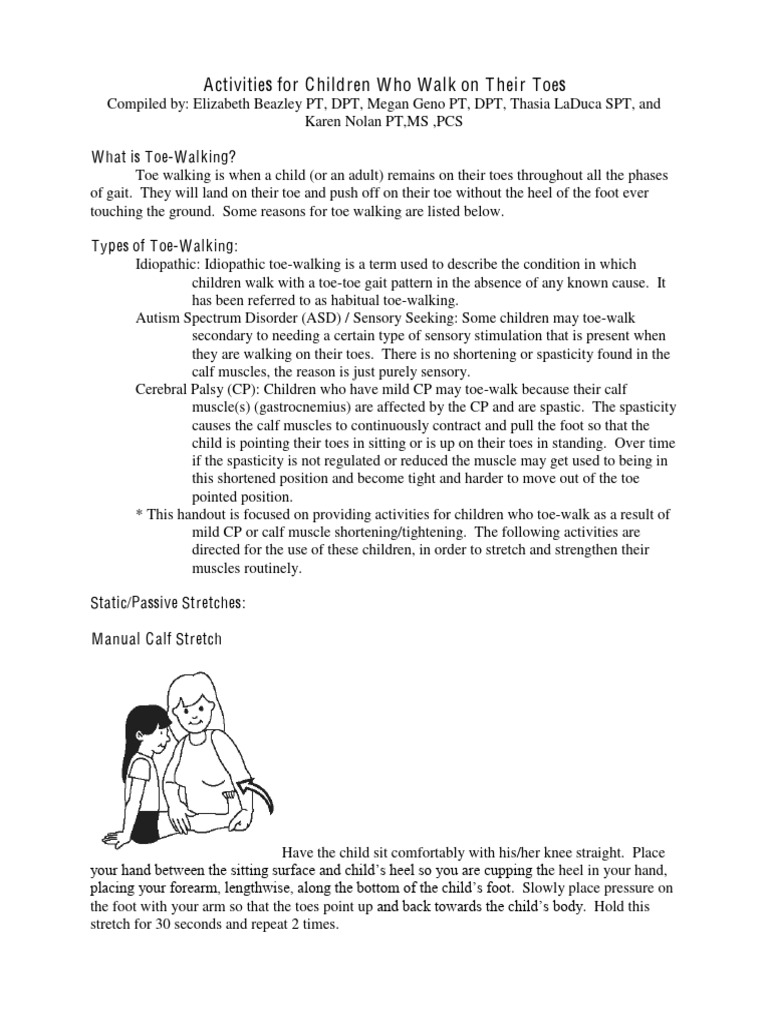 toewalkingguide PDF Human Anatomy Musculoskeletal System