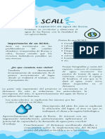 Scall 1