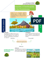 Organización y Clasificación de Los Ecosistemas