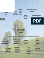 Delitos Financieros en El Perú