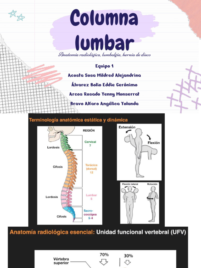 Equipo 1 - Columna Lumbar | PDF | Dolor lumbar | Sistema nervioso