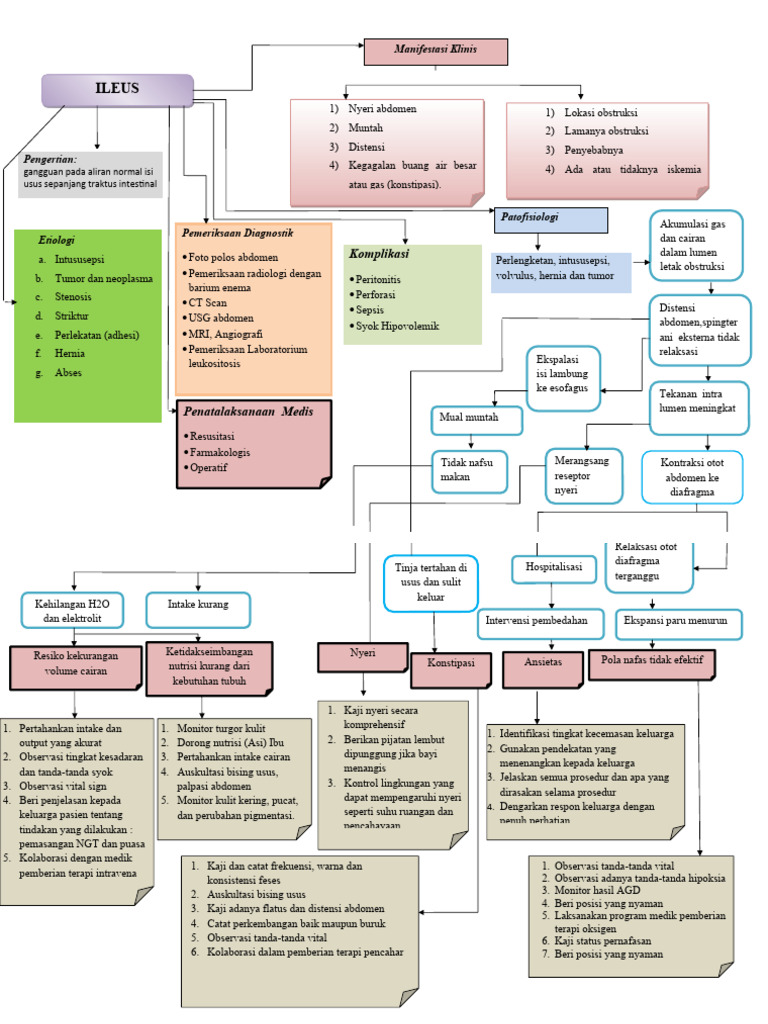 Tatalaksana dan Patofisiologi Ileus Obstruktif | PDF